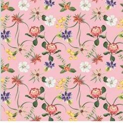 Bio-Jersey WUNSCHNAME Panel + Kombistoff Smiling Friends, Tiger Grau, 2 In 1 -STOFFWELTEN Verkäufe bio jersey wunschname panel kombistoff smiling friends tiger grau 2 in 13