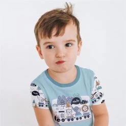 Surprise Bag Jungen Juli 2022, PANEL + Kombistoffe -STOFFWELTEN Verkäufe surprise bag jungen juli 2022 panel kombistoffe6